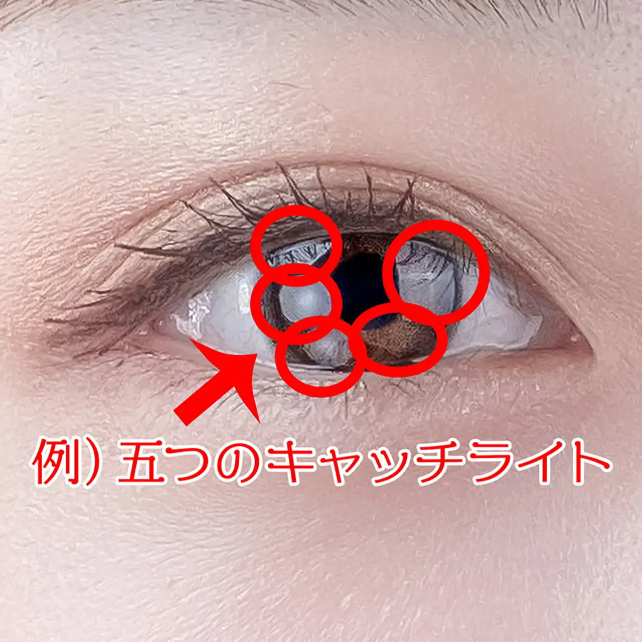 例）五つのキャッチライト