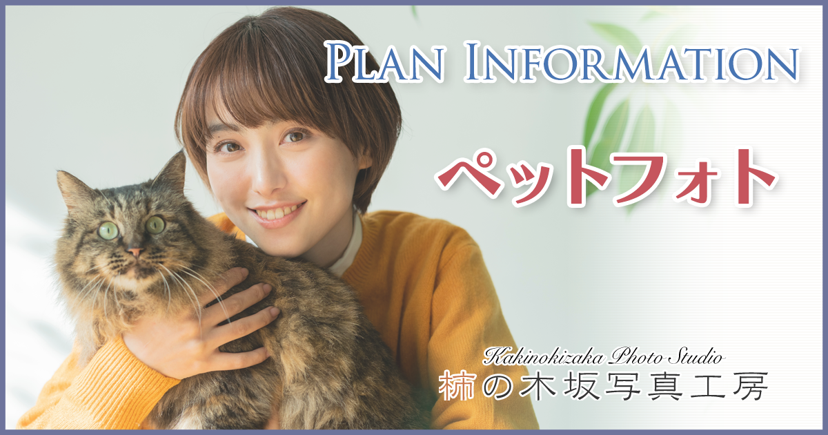 ペットフォト | 各種撮影プラン | 柿の木坂写真工房
